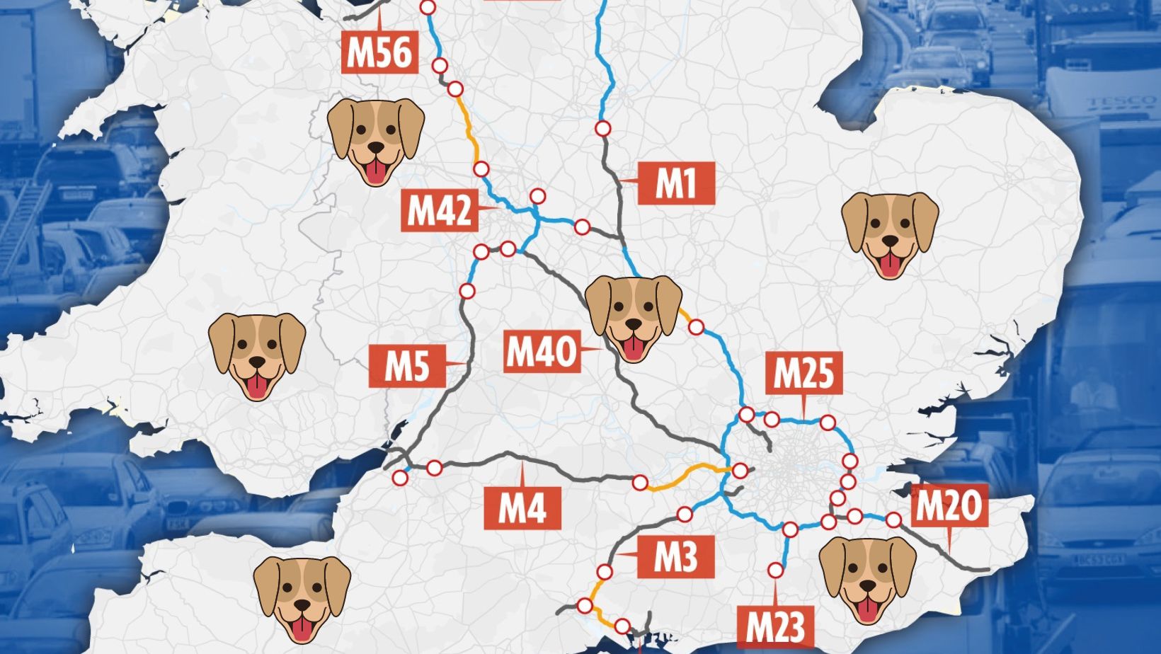 Top 5 Dogging Locations in the UK